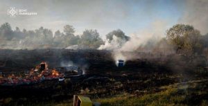 На Львівщині пожежа знищила десятки вуликів, частину пасіки вдалося врятувати — ФОТО