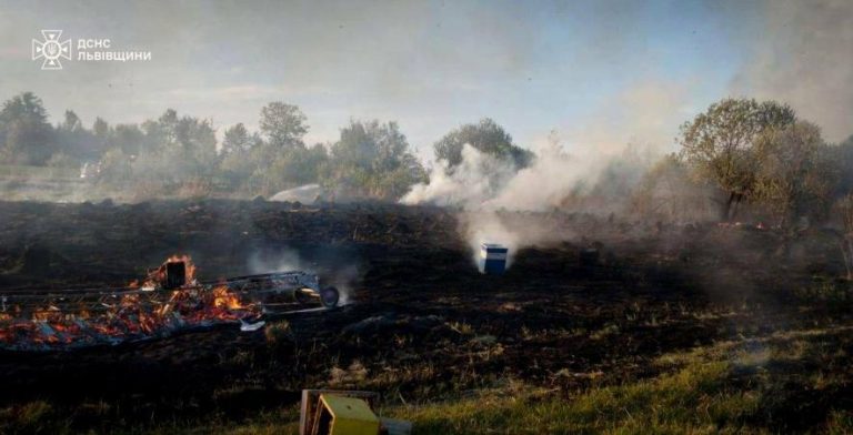 На Львівщині пожежа знищила десятки вуликів, частину пасіки вдалося врятувати — ФОТО