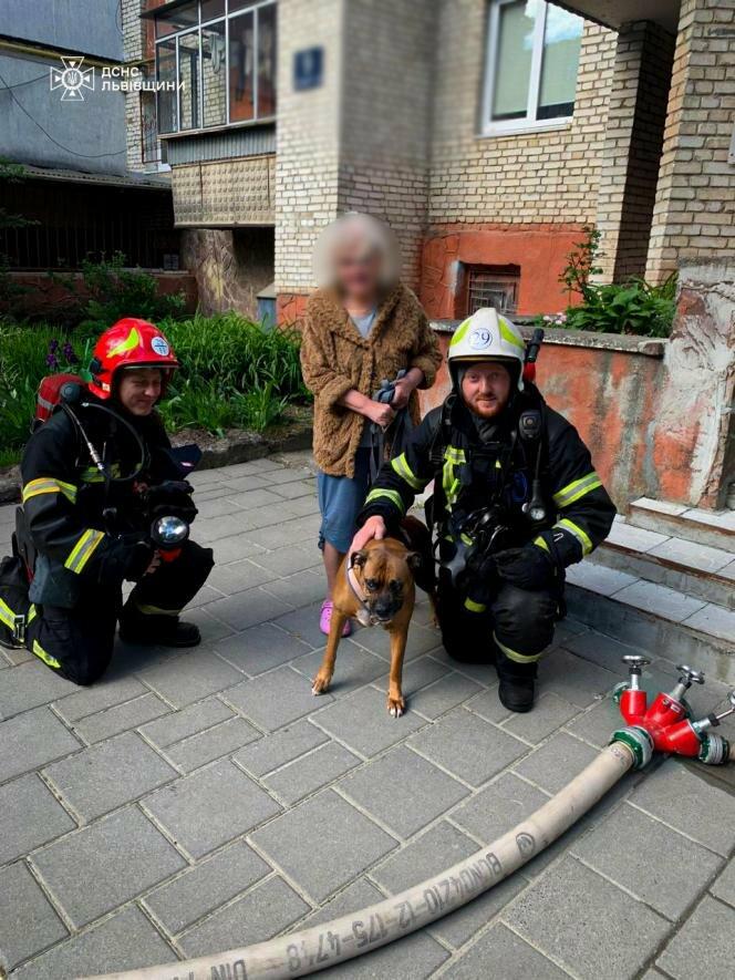 У Львові під час пожежі у висотці рятувальники винесли мешканців і собаку — ФОТО