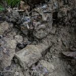 Поблизу Рясне-Руського виявили смертельно небезпечну гранату часів Другої світової