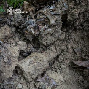 Поблизу Рясне-Руського виявили смертельно небезпечну гранату часів Другої світової