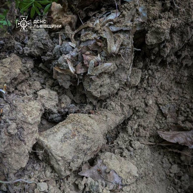 Поблизу Рясне-Руського виявили смертельно небезпечну гранату часів Другої світової