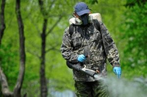 У Львові на три дні закриють частину дитячих майданчиків — де проведуть обробку від кліщів