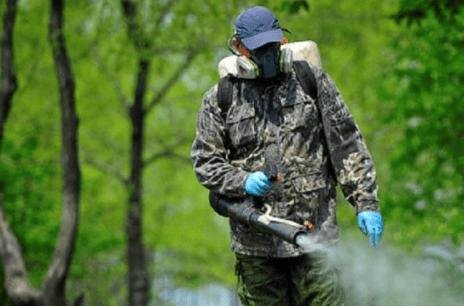 У Львові на три дні закриють частину дитячих майданчиків — де проведуть обробку від кліщів