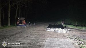 На Львівщині після зіткнення мотоциклів до лікарні доставили підлітка й 31-річного чоловіка
