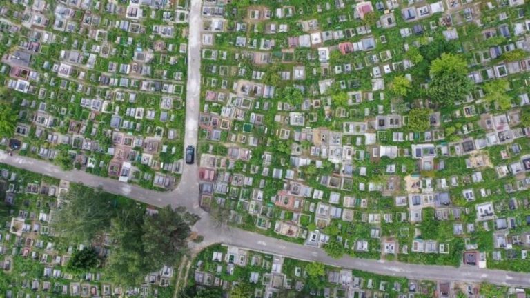 У Львові планують запровадити безкоштовний мікроавтобус, що курсуватиме по міському цвинтарі