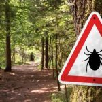 У парках Львова продовжать обробку від кліщів — де і коли працюватимуть