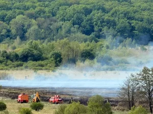 Палають торфовища біля Ситихова: село під загрозою