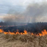Львів на порозі високої пожежної небезпеки: загрозу прогнозують до 24 травня
