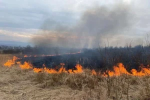 Львів на порозі високої пожежної небезпеки: загрозу прогнозують до 24 травня