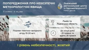 У Львівській області попереджають про пориви сильного північно-західного вітру