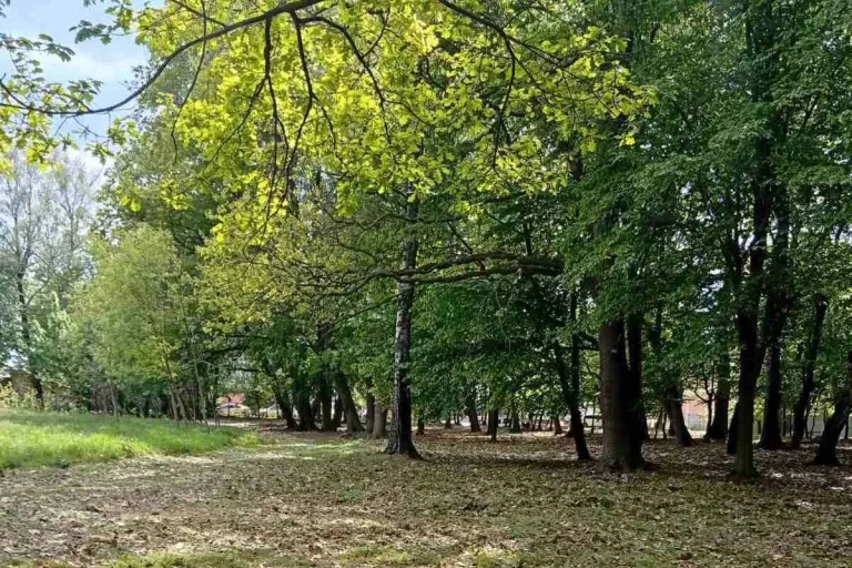 У Рудному планують оновити центральний парк і закликають мешканців надсилати пропозиції