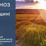 Львівщина 30 травня: очікується тепла й вітряна погода