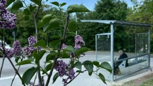 Біля парку «Знесіння» створюють масштабний громадський простір
