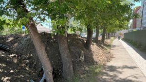 Тимчасово припинили благоустрій біля новобудови на Липинського у Львові — що відомо