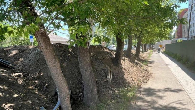 Тимчасово припинили благоустрій біля новобудови на Липинського у Львові — що відомо