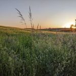Середа: короткочасні дощі, повітря прогріється до +23°C