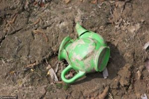 Оновлені курси валют у Львові станом на 11 червня