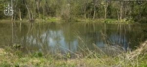 На Львівщині розкрили схеми незаконного продажу земель у Карпатах — Варіанти