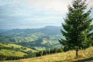Львівщина встановила новий рекорд туристичного збору за перші п’ять місяців року
