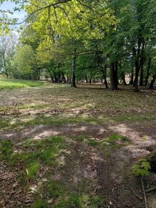 Рудно створює новий парк: мешканців закликають поділитися ідеями