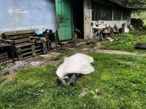 Трагічна пожежа на Львівщині: у житловому будинку загинув чоловік — ФОТО