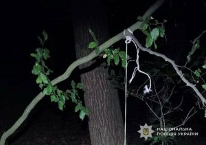 На Львівщині підозрюють чоловіка у жорстокому вбивстві сусідського собаки в лісі