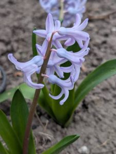 Вихідні під знаком спеки: до +31°C і поради для відпочинку