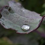 Короткочасні зливи при +18°C: ймовірні сценарії