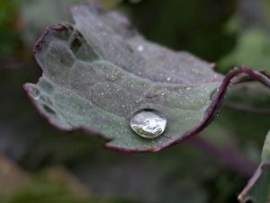 Короткочасні зливи при +18°C: ймовірні сценарії