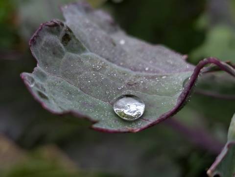 Короткочасні зливи при +18°C: ймовірні сценарії