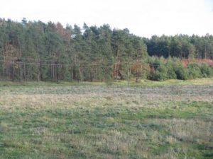 Біля Львова на понад 50 гектарів створять новий ландшафтний заказник