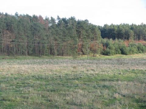 Біля Львова на понад 50 гектарів створять новий ландшафтний заказник