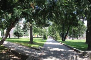 У двох львівських парках виставили в оренду місця для продажу кави, морозива й води