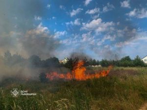 На Львівщині за добу ліквідовано понад десять загорянь сухостою — Варіанти