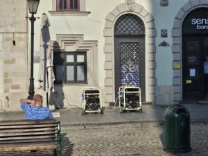 Львівська облрада виділяє майже 1,5 млн грн на встановлення зарядних станцій для працівників Козицького