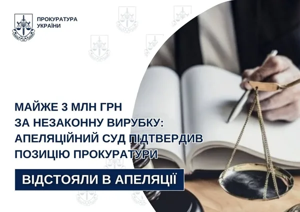 Апеляційний суд постановив, що Стрийська міськрада має відшкодувати збитки за незаконну вирубку – Голос Сокальщини