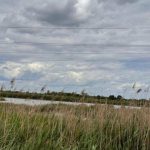 Стрийська громада отримала назад ділянку зі ставками площею 53 га