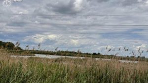 Стрийська громада отримала назад ділянку зі ставками площею 53 га