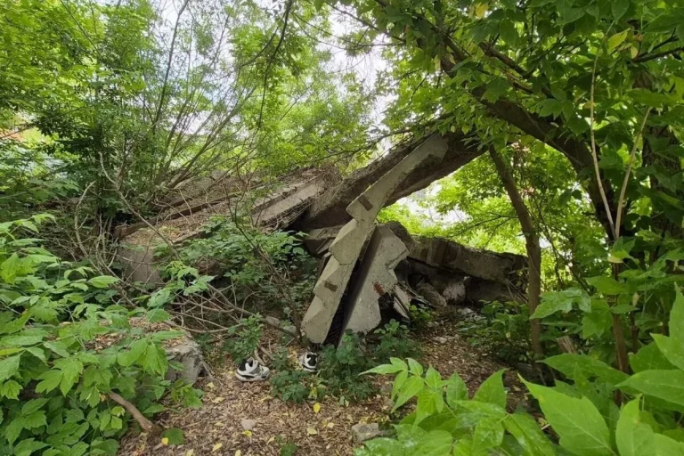 У Львові облаштують узбіччя до Голосківського кладовища і засіють новий газон – Голос Сокальщини