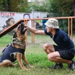 У Львові стартує програма емоційного відновлення UNBROKEN ANIMALS за участі собак-компаньйонів – Голос Сокальщини