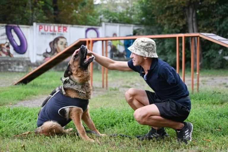 У Львові стартує програма емоційного відновлення UNBROKEN ANIMALS за участі собак-компаньйонів – Голос Сокальщини