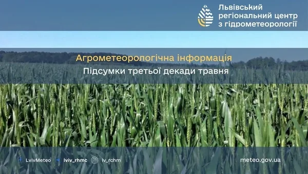 Третя декада травня на Львівщині виявилась теплою й сухою