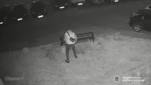 У Шептицькому поліція розшукує підозрюваних у пошкодженні зелених насаджень – Голос Сокальщини
