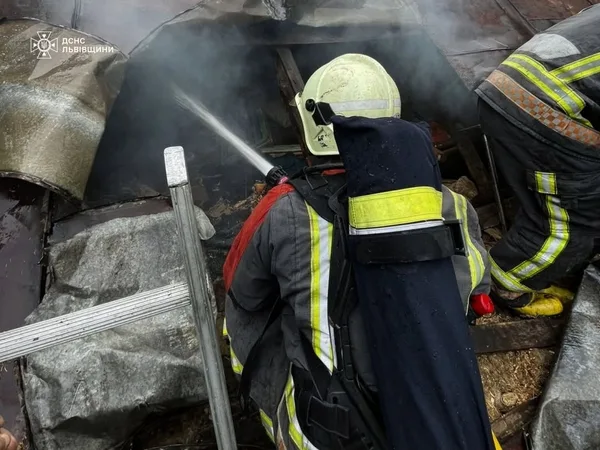 Пожежа в житловому будинку в селі Блищиводи забрала життя чоловіка