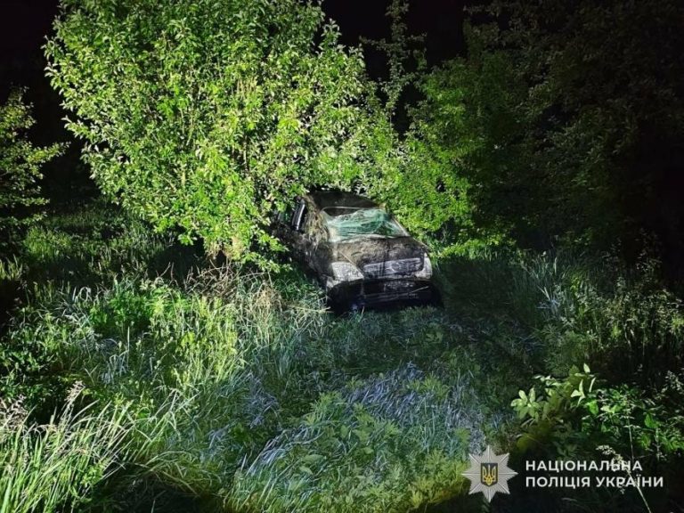 П’яний водій на Львівщині перекинув автівку — двоє підлітків отримали травми