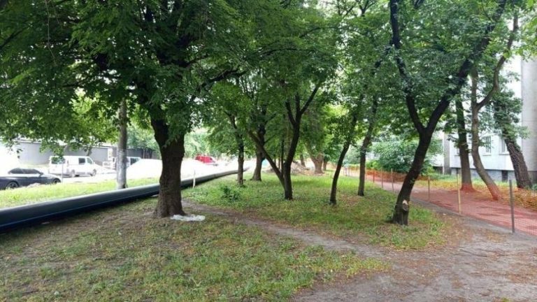 Під час реконструкції вулиці Мазепи у Львові збережуть частину дерев і висадять 66 нових