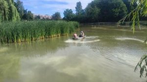 У львівських парках розпочалося сезонне вапнування озер для їх оздоровлення