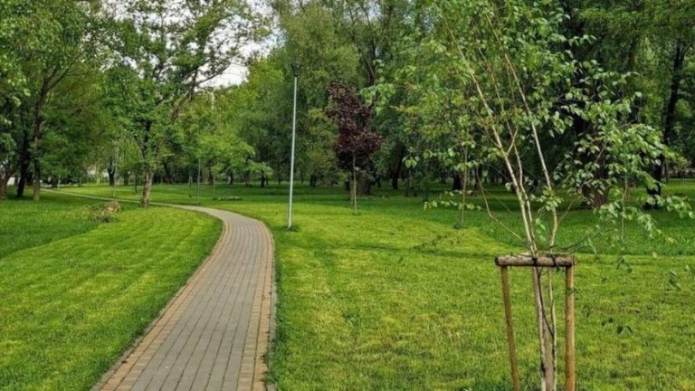 У Львові на аукціони виставили паркові локації для морозива, кави та атракціонів
