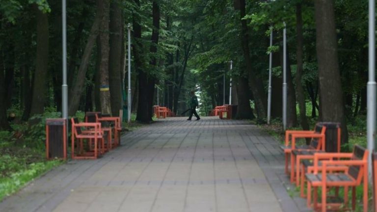 У сквері на Коновальця зріжуть 14 аварійних дерев та прокладуть нові доріжки